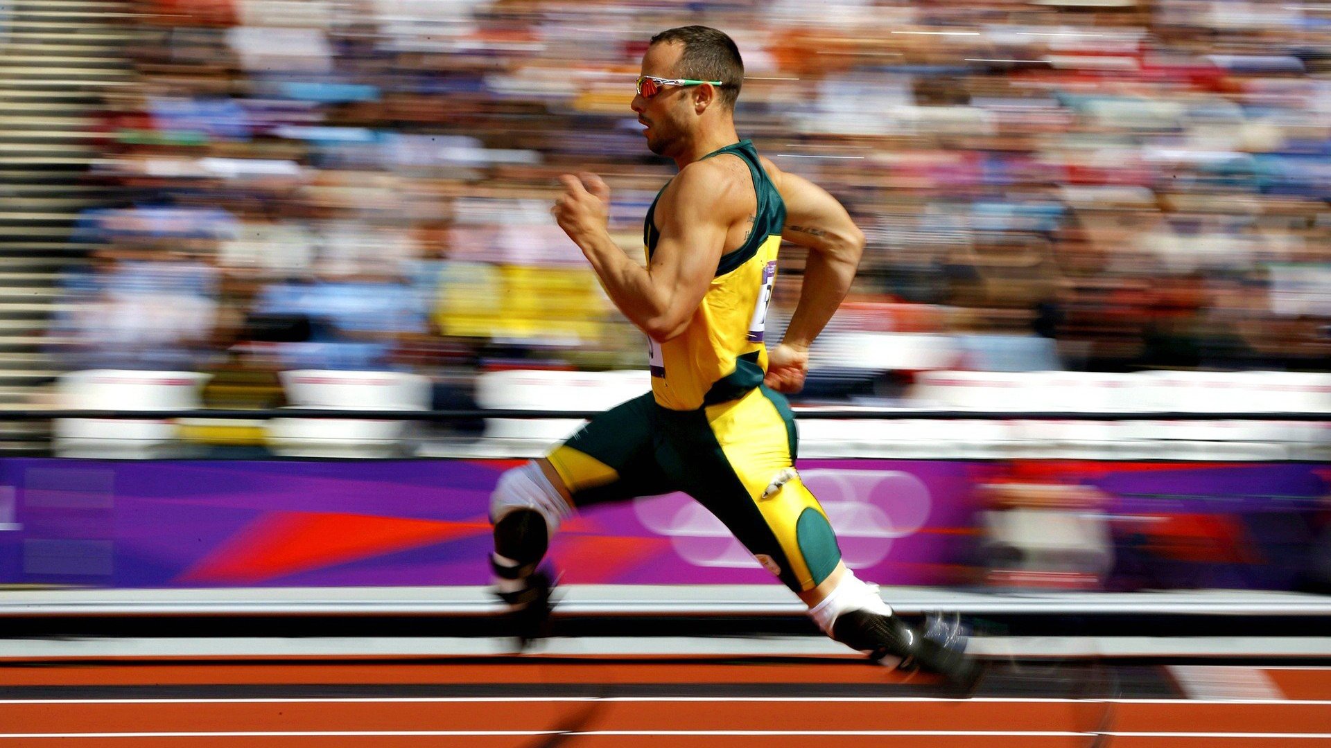 开云官网登录-_AI裁判系统的应用与未来_，ai裁判最早